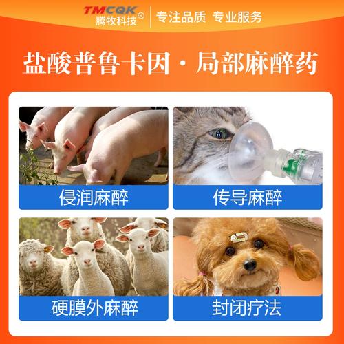 狗狗打麻药多少钱一针,小狗打麻药多少钱?-第6张图片-后鲨宠物 狗狗打麻药多少钱一针,小狗打麻药多少钱?-第6张图片-后鲨宠物