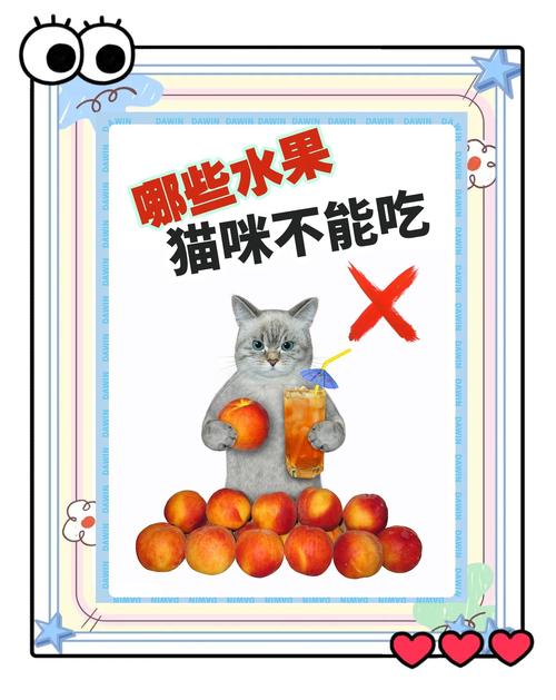 猫咪可以吃橘子吗_猫能吃橘子吗?-第1张图片-后鲨宠物 猫咪可以吃橘子吗_猫能吃橘子吗?-第1张图片-后鲨宠物