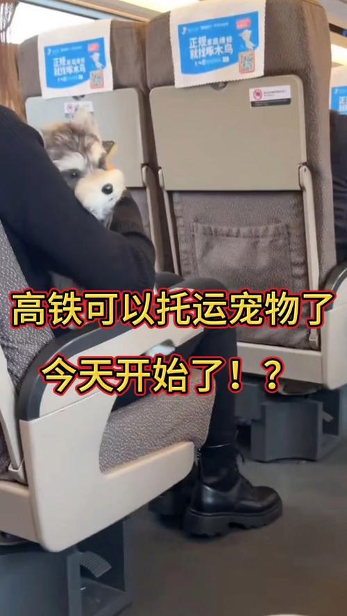 狗狗可以上火车吗，动车上可以带狗狗么？-第4张图片-后鲨宠物