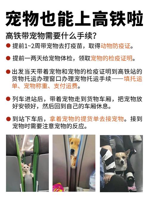 狗狗可以上火车吗，动车上可以带狗狗么？-第6张图片-后鲨宠物