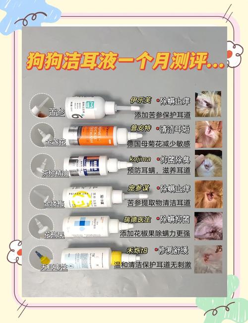 狗狗耳朵有耳螨用什么药,狗狗耳朵有耳螨用什么药治疗-第4张图片-后鲨宠物 狗狗耳朵有耳螨用什么药,狗狗耳朵有耳螨用什么药治疗-第4张图片-后鲨宠物