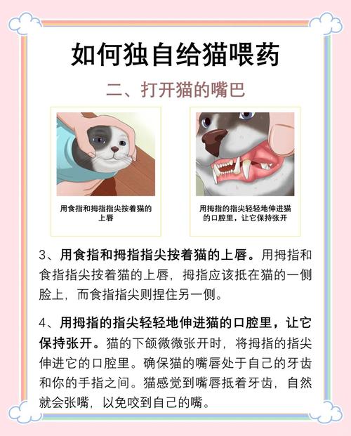 喂猫咪吃药小窍门_如何喂猫猫吃药-第1张图片-后鲨宠物 喂猫咪吃药小窍门_如何喂猫猫吃药-第1张图片-后鲨宠物