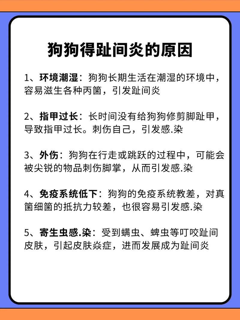狗狗脚发炎了怎么办_狗狗脚发炎伤口发炎怎么办-第5张图片-后鲨宠物