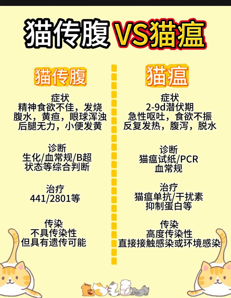 猫咪传腹是什么病,猫咪传腹是什么意思?-第3张图片-后鲨宠物 猫咪传腹是什么病,猫咪传腹是什么意思?-第3张图片-后鲨宠物