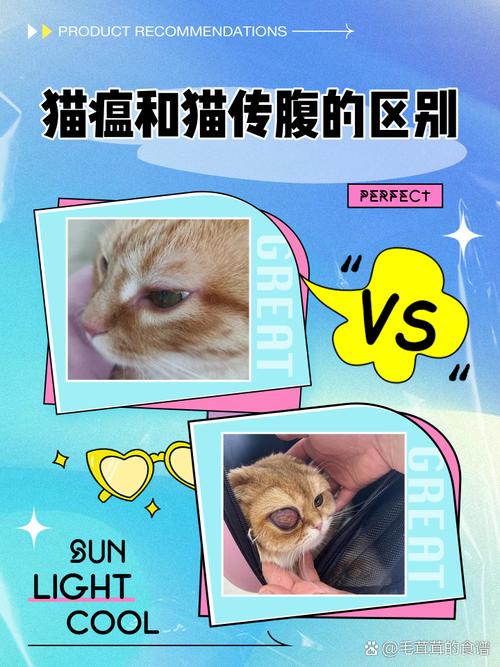 猫咪传腹是什么病,猫咪传腹是什么意思?-第6张图片-后鲨宠物 猫咪传腹是什么病,猫咪传腹是什么意思?-第6张图片-后鲨宠物