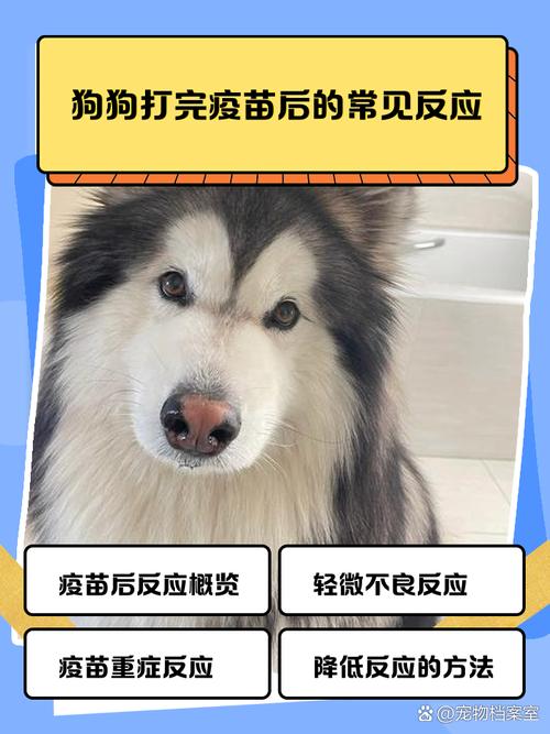 狗狗打疫苗有什么反应_狗狗打疫苗什么反应正常-第2张图片-后鲨宠物