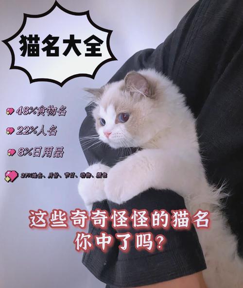 可爱的猫咪名字大全,可爱的猫咪名字100个-第3张图片-后鲨宠物 可爱的猫咪名字大全,可爱的猫咪名字100个-第3张图片-后鲨宠物