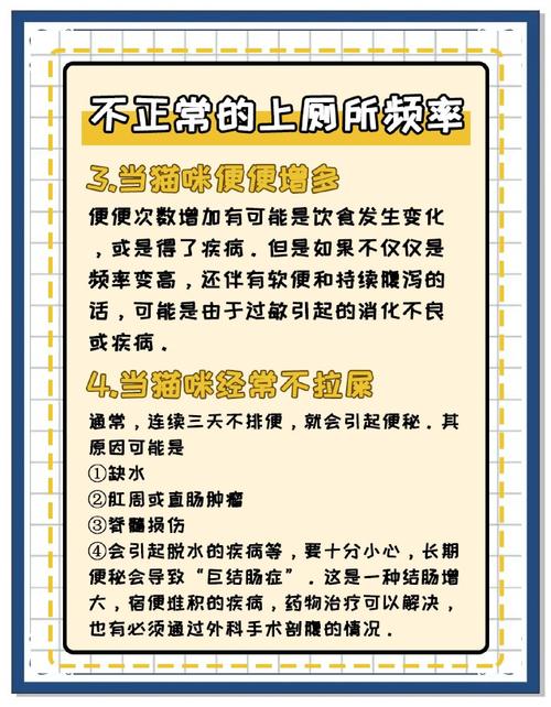 猫咪频繁上厕所,猫频繁去猫砂盆要警惕?-第2张图片-后鲨宠物 猫咪频繁上厕所,猫频繁去猫砂盆要警惕?-第2张图片-后鲨宠物