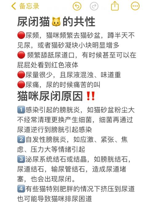 猫咪频繁上厕所,猫频繁去猫砂盆要警惕?-第3张图片-后鲨宠物 猫咪频繁上厕所,猫频繁去猫砂盆要警惕?-第3张图片-后鲨宠物