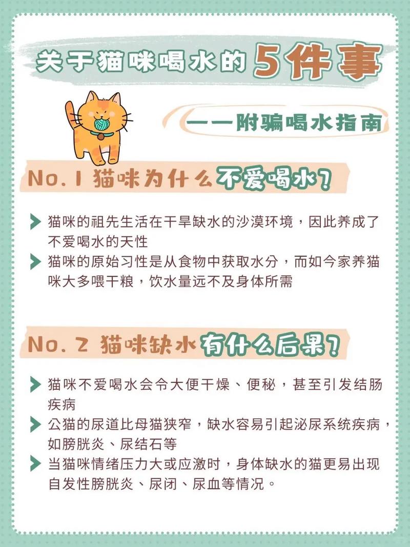 猫咪为什么不喜欢水,猫为啥不喜欢水-第2张图片-后鲨宠物 猫咪为什么不喜欢水,猫为啥不喜欢水-第2张图片-后鲨宠物