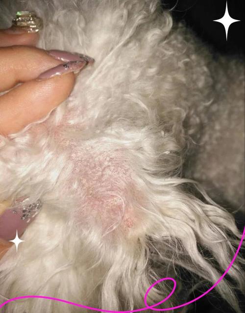 狗狗蹭破皮了怎么办,狗狗蹭破皮了怎么办用什么药-第1张图片-后鲨宠物 狗狗蹭破皮了怎么办,狗狗蹭破皮了怎么办用什么药-第1张图片-后鲨宠物