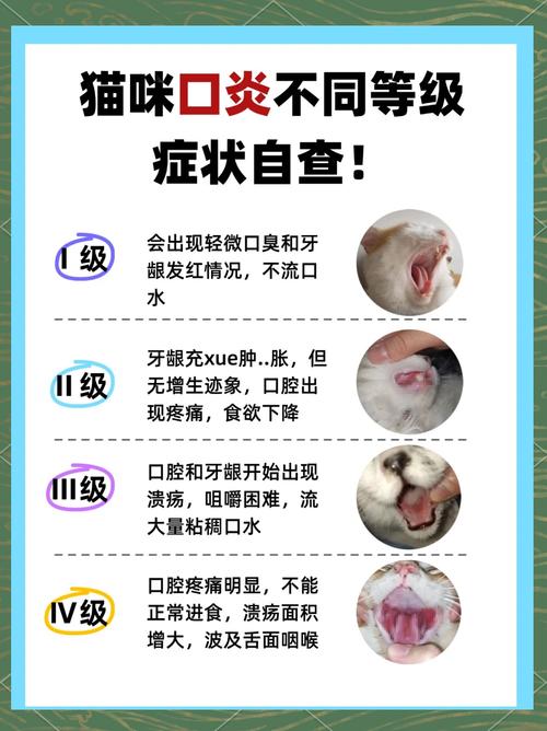 猫咪口炎怎么治，猫咪口炎怎么治疗简单有效？