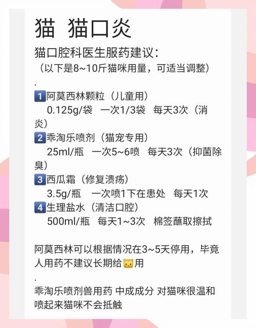 猫咪口炎怎么治,猫咪口炎怎么治疗简单有效?-第5张图片-后鲨宠物 猫咪口炎怎么治,猫咪口炎怎么治疗简单有效?-第5张图片-后鲨宠物