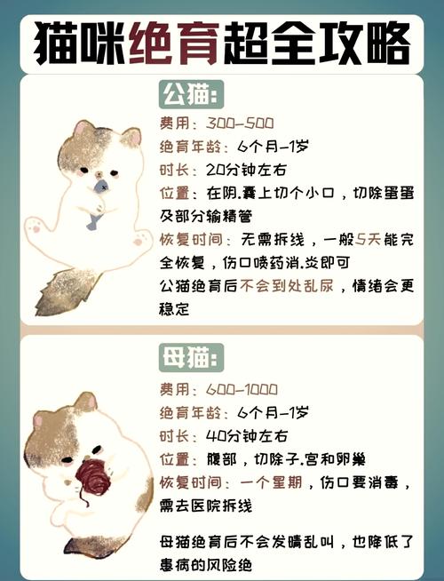 绝育手术猫咪多少钱,猫咪绝育花费-第3张图片-后鲨宠物 绝育手术猫咪多少钱,猫咪绝育花费-第3张图片-后鲨宠物