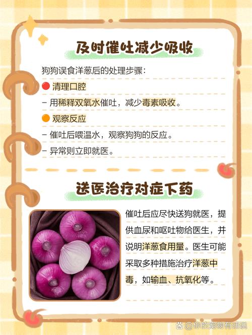  狗狗能吃圆葱吗，狗狗能吃圆葱牛肉吗