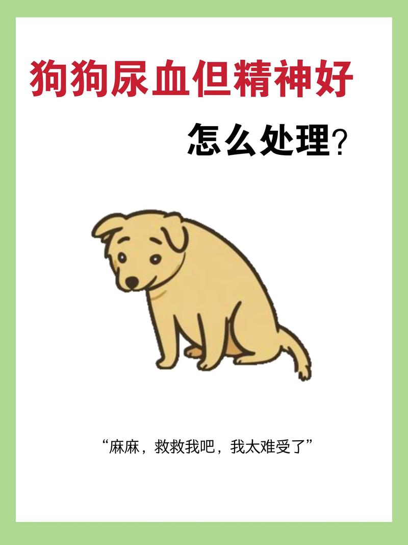 狗狗能吃圆葱吗,狗狗能吃圆葱牛肉吗-第2张图片-后鲨宠物 狗狗能吃圆葱吗,狗狗能吃圆葱牛肉吗-第2张图片-后鲨宠物