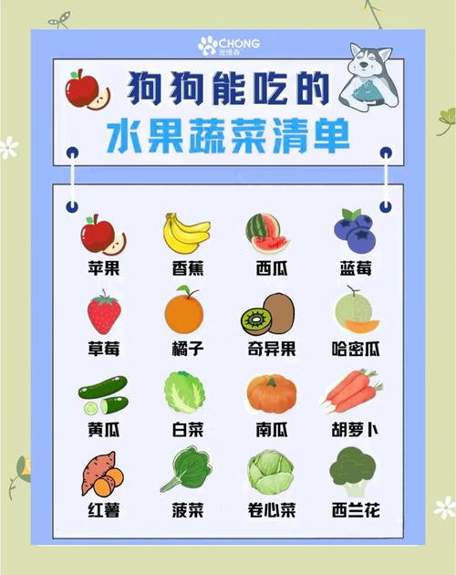 狗狗能吃圆葱吗,狗狗能吃圆葱牛肉吗-第6张图片-后鲨宠物 狗狗能吃圆葱吗,狗狗能吃圆葱牛肉吗-第6张图片-后鲨宠物