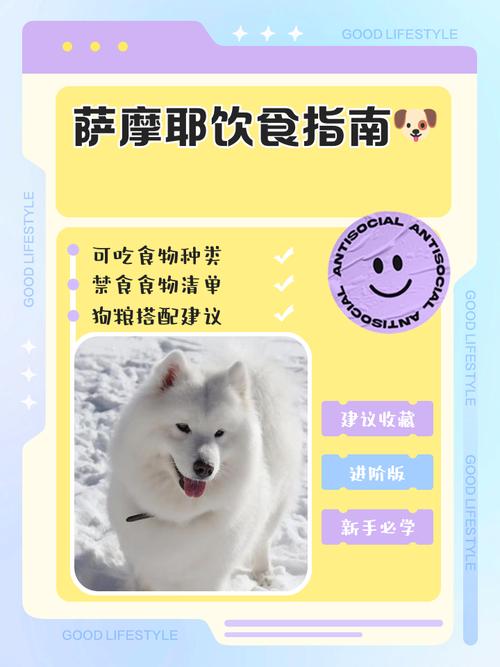 狗狗能吃蛋炒饭吗_狗狗能吃蛋炒饭吗有营养吗-第5张图片-后鲨宠物