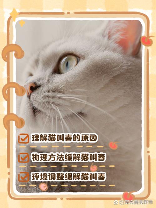 猫咪叫春怎么办,猫咪叫春怎么处理-第1张图片-后鲨宠物 猫咪叫春怎么办,猫咪叫春怎么处理-第1张图片-后鲨宠物