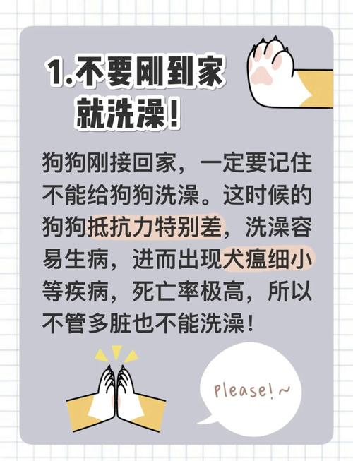 如何判断狗狗是否健康_如何知道狗狗是否健康-第3张图片-后鲨宠物