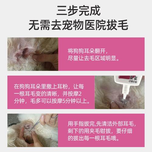  怎么给狗狗拔耳毛，如何帮狗狗拔耳毛-第2张图片-后鲨宠物