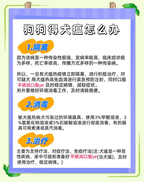 狗狗得了犬瘟症状,狗狗得了犬瘟啥症状-第2张图片-后鲨宠物 狗狗得了犬瘟症状,狗狗得了犬瘟啥症状-第2张图片-后鲨宠物