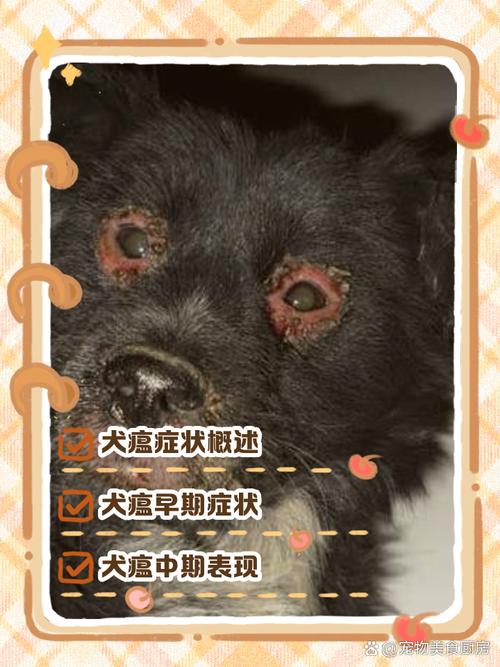 狗狗得了犬瘟症状,狗狗得了犬瘟啥症状-第4张图片-后鲨宠物 狗狗得了犬瘟症状,狗狗得了犬瘟啥症状-第4张图片-后鲨宠物