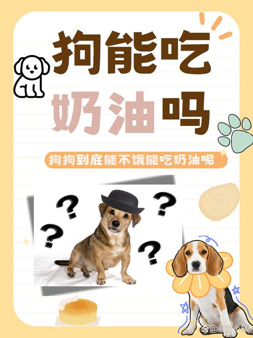 狗狗吃了奶油会怎么样,狗吃了一点奶油会怎样?-第5张图片-后鲨宠物 狗狗吃了奶油会怎么样,狗吃了一点奶油会怎样?-第5张图片-后鲨宠物