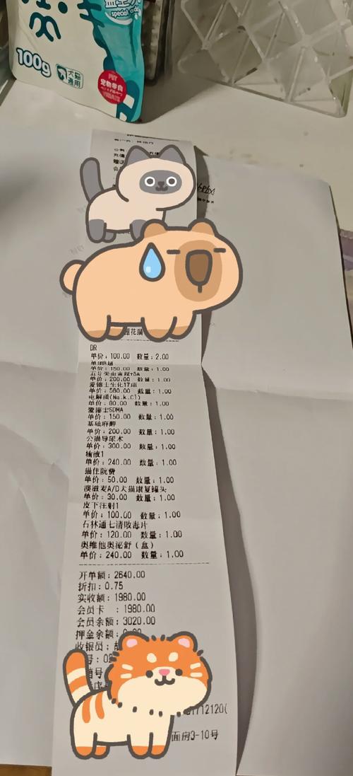 猫咪拍片子多少钱,猫咪拍片大概多少钱-第2张图片-后鲨宠物 猫咪拍片子多少钱,猫咪拍片大概多少钱-第2张图片-后鲨宠物