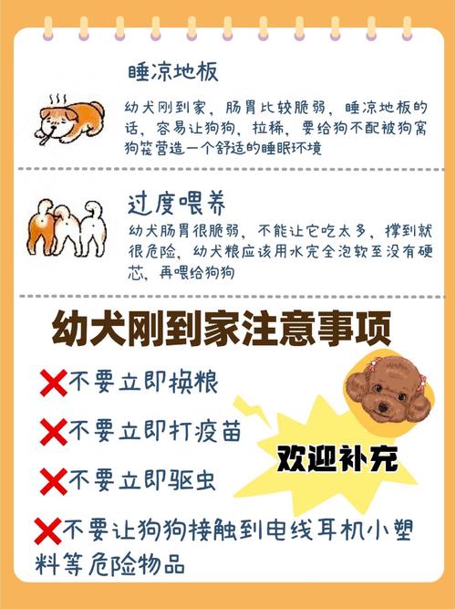 狗狗能吃罗红霉素吗_狗可以吃罗红霉素消炎吗