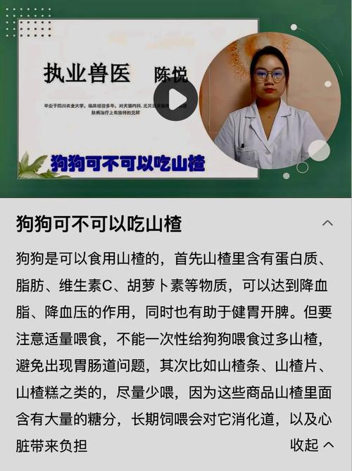 狗狗可以吃山楂吗,狗狗能吃山楂片儿吗?-第4张图片-后鲨宠物 狗狗可以吃山楂吗,狗狗能吃山楂片儿吗?-第4张图片-后鲨宠物