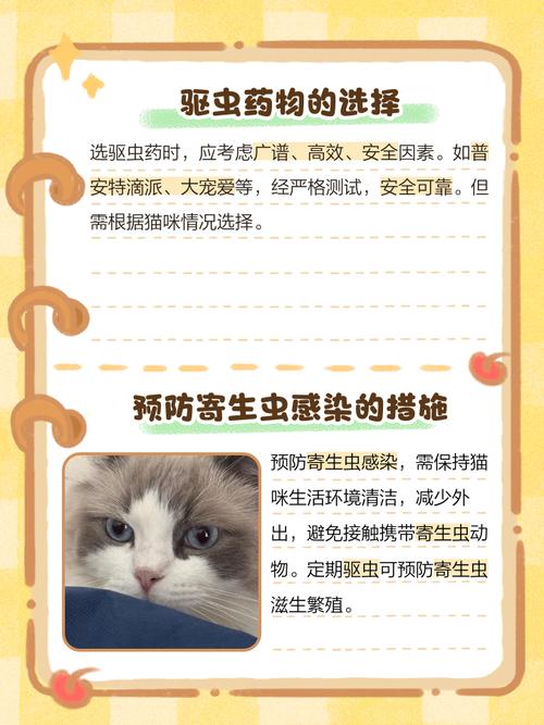 怎么判断猫咪体内有虫_养猫女孩颅内有大量寄生虫-第1张图片-后鲨宠物