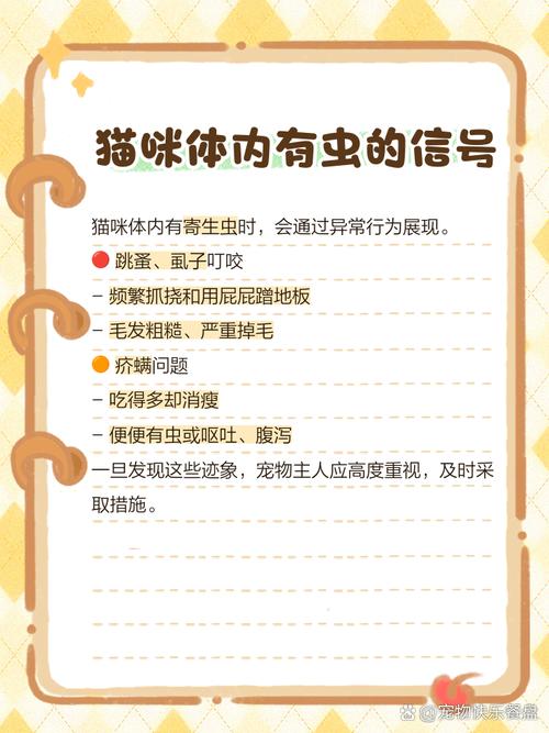 怎么判断猫咪体内有虫_养猫女孩颅内有大量寄生虫-第2张图片-后鲨宠物