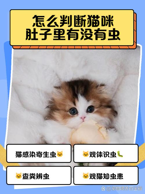 怎么判断猫咪体内有虫_养猫女孩颅内有大量寄生虫-第4张图片-后鲨宠物