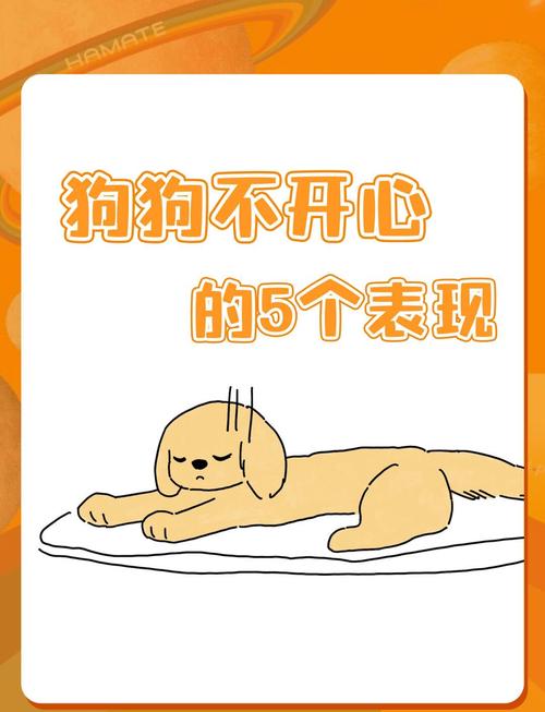 狗狗缺乏安全感的表现,狗子缺乏安全感?-第5张图片-后鲨宠物 狗狗缺乏安全感的表现,狗子缺乏安全感?-第5张图片-后鲨宠物