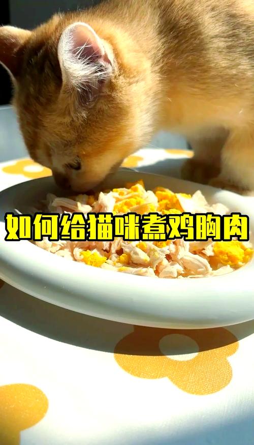 给猫咪做鸡胸肉的方法_给猫咪做鸡胸肉的方法大全-第4张图片-后鲨宠物 给猫咪做鸡胸肉的方法_给猫咪做鸡胸肉的方法大全-第4张图片-后鲨宠物