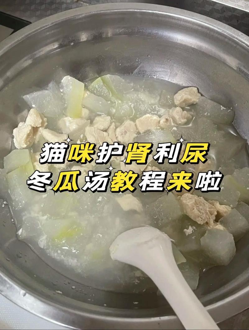 给猫咪做鸡胸肉的方法_给猫咪做鸡胸肉的方法大全-第5张图片-后鲨宠物 给猫咪做鸡胸肉的方法_给猫咪做鸡胸肉的方法大全-第5张图片-后鲨宠物