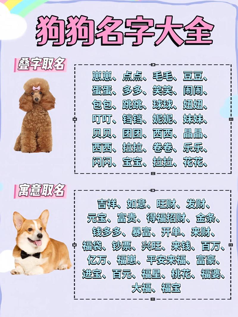  如何让狗狗知道自己的名字，怎样让小狗狗知道自己的名字