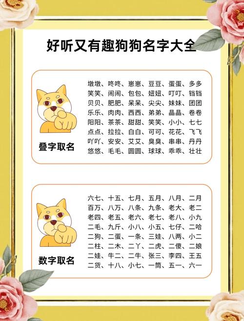 如何让狗狗知道自己的名字,怎样让小狗狗知道自己的名字-第5张图片-后鲨宠物 如何让狗狗知道自己的名字,怎样让小狗狗知道自己的名字-第5张图片-后鲨宠物