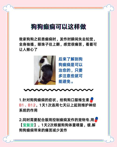 狗狗癫疯怎么治疗_狗狗癫疯能活多久不治疗-第4张图片-后鲨宠物 狗狗癫疯怎么治疗_狗狗癫疯能活多久不治疗-第4张图片-后鲨宠物