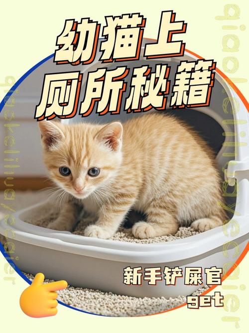 关于怎么教猫猫上厕所的信息-第4张图片-后鲨宠物 关于怎么教猫猫上厕所的信息-第4张图片-后鲨宠物