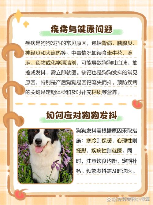 狗狗全身发抖是怎么回事，狗狗全身发抖是怎么回事儿？