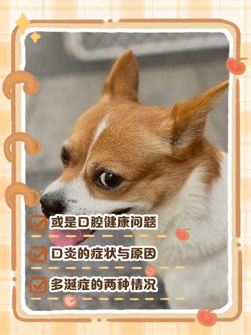 狗狗全身发抖是怎么回事,狗狗全身发抖是怎么回事儿?-第5张图片-后鲨宠物 狗狗全身发抖是怎么回事,狗狗全身发抖是怎么回事儿?-第5张图片-后鲨宠物