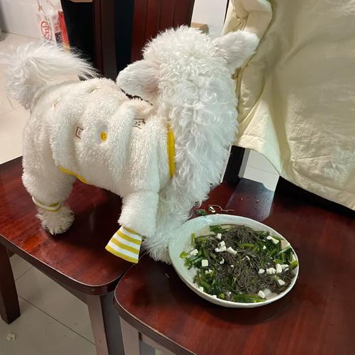 狗狗可以吃面吗,狗狗能吃面食类的吗?-第2张图片-后鲨宠物 狗狗可以吃面吗,狗狗能吃面食类的吗?-第2张图片-后鲨宠物