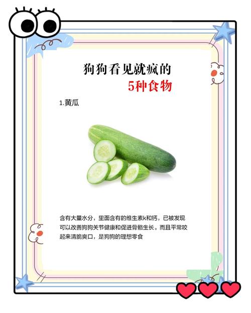 狗狗可以吃面吗,狗狗能吃面食类的吗?-第6张图片-后鲨宠物 狗狗可以吃面吗,狗狗能吃面食类的吗?-第6张图片-后鲨宠物