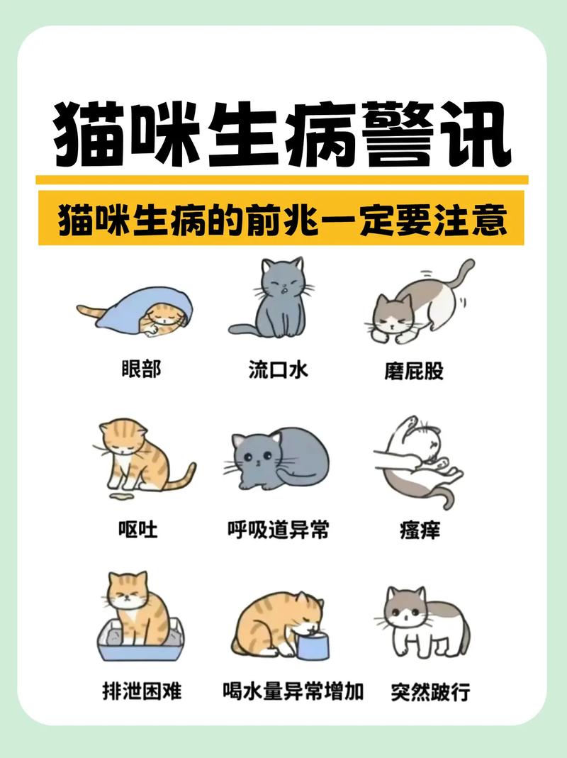 猫咪容易生病吗，猫咪容易生病吗怎么治？-第2张图片-后鲨宠物
