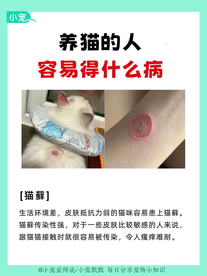 猫咪容易生病吗，猫咪容易生病吗怎么治？-第4张图片-后鲨宠物