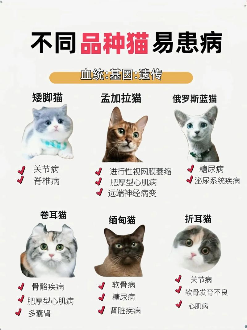 猫咪容易生病吗，猫咪容易生病吗怎么治？-第5张图片-后鲨宠物