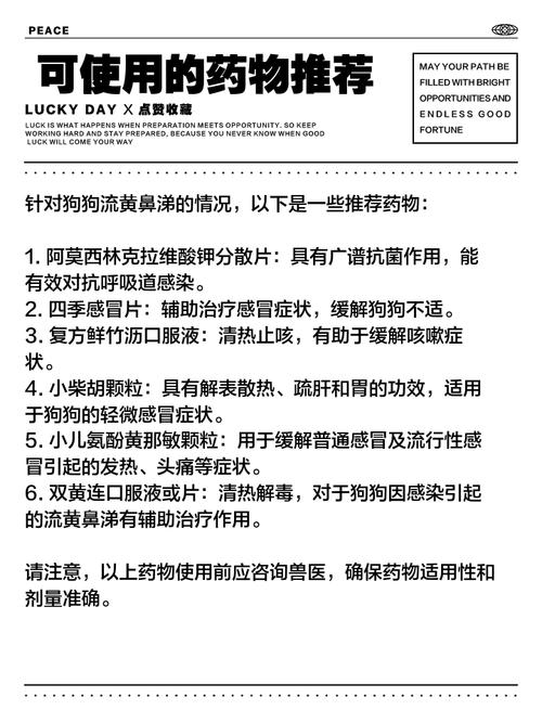  狗狗感冒打什么针，狗狗感冒打什么针搭配是比较好的