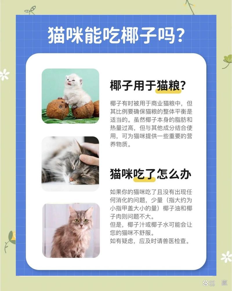 猫咪能吃椰子吗,猫咪可以吃椰子片嘛?-第3张图片-后鲨宠物 猫咪能吃椰子吗,猫咪可以吃椰子片嘛?-第3张图片-后鲨宠物